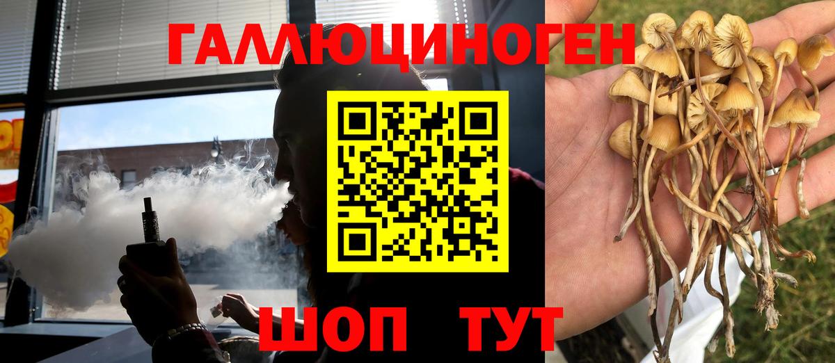Псилоцибиновые грибы прущие грибы  Вход с VPN  Скопин 